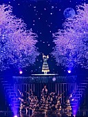 櫻坂46「」28枚目/49