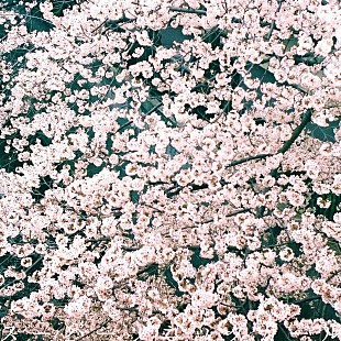 「ズーカラデル、AL『太陽歩行』収録の新曲「スーパーソニックガール」配信開始」