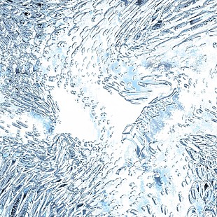 「Tempalay、5枚目のフルAL『((ika))』ジャケットアートワーク公開」