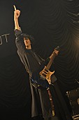 fuzzy knot「Photo by 江隈 麗志」8枚目/12