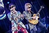 「B&amp;#039;z、結成35周年のベスト選曲による全国ツアーをBlu-ray＆DVD化」1枚目/2