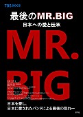 ミスター・ビッグ「」4枚目/5