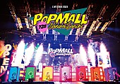 なにわ男子「なにわ男子、アリーナツアー【なにわ男子 LIVE TOUR 2023 &amp;#039;POPMALL&amp;#039;】の映像作品が2024年2月音楽ビデオ・セールス首位【SoundScan Japan調べ】 」1枚目/1