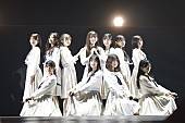 乃木坂４６「乃木坂46、12回目の”バスラ”で全124曲を披露　伝統と試練が与えた乃木坂の武器」1枚目/14