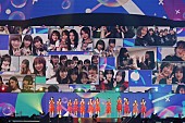 乃木坂４６「」2枚目/14