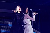 日向坂46「」52枚目/54