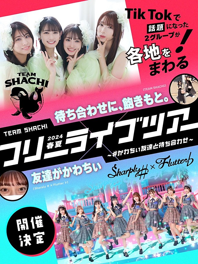 TEAM SHACHI「」3枚目/3