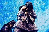 櫻坂46「櫻坂46、過去最高の盛り上がりを迎えた【BACKS LIVE!!】完遂　公式レポート到着」1枚目/29