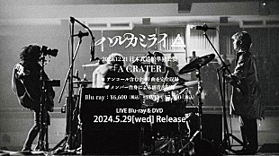 ハルカミライ「ハルカミライ、日本武道館ライブ映像作品『A CRATER』ダイジェスト公開」