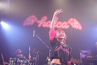 halca「＜ライブレポート＞halcaが1年ぶりフルバンド編成ライブ、フロアを熱狂の渦に」