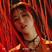 IS:SUE「IS:SUE シングル『1st IS:SUE』FC限定ソロジャケット YUUKI盤」11枚目/12