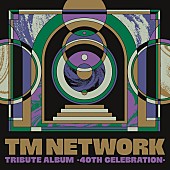 TM NETWORK「【先ヨミ・デジタル】TM NETWORKのトリビュートアルバムが現在DLアルバム首位　宇多田ヒカル／imaseが後を追う」1枚目/1