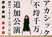 アカシック「」3枚目/3