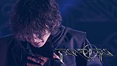 Aile The Shota「Aile The Shota、新曲「NEBULA」ライブ映像を公開」1枚目/3