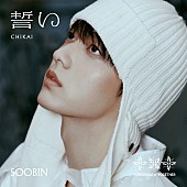 TOMORROW X TOGETHER「TOMORROW X TOGETHER シングル『誓い (CHIKAI)』初回限定メンバーソロジャケット盤
SOOBIN Ver.」2枚目/10