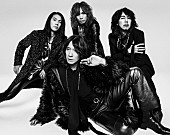 THE YELLOW MONKEY「THE YELLOW MONKEY、アルバム『Sparkle X』のアナログ盤を3,000枚限定で発売決定」1枚目/5