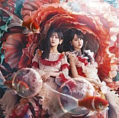 乃木坂４６「乃木坂46 シングル『チートデイ』初回仕様限定盤Type-B」4枚目/7