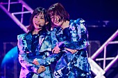 櫻坂46「」35枚目/40