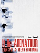 Saucy Dog「Saucy Dog、【It Re:ARENA TOUR】ライブBlu-ray＆DVDのロングティザー映像を公開」1枚目/3