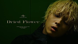 imase「imase、 新曲「Dried Flower」配信＆MV公開」