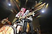 ポルカドットスティングレイ「＜ライブレポート＞ポルカ雫生誕祭【#教祖爆誕】　第二章バンド初の本領発揮ライブで厄払い」1枚目/11