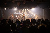 The Biscats「Photo by：山田久美子」2枚目/5