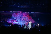 「いきものがかり、【路上ライブ at 武道館】より最新曲「会いたい」ライブ映像のプレミア公開決定」1枚目/3