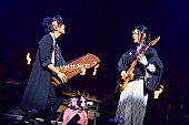 和楽器バンド「Photo by KEIKO TANABE」2枚目/20