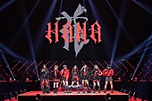 「BMSG×ちゃんみな【No No Girls】から誕生したHANA、プレデビュー曲「Drop」配信日決定」1枚目/4