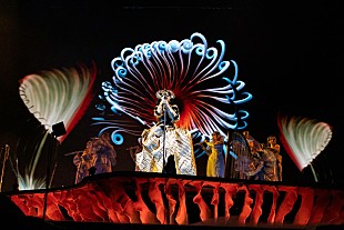 「ビョーク、地球の未来について楽観的だと語る「諦めることがクールだとは思わない」」