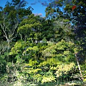 「藤巻亮太 アルバム『儚く脆いもの』通常盤」3枚目/4