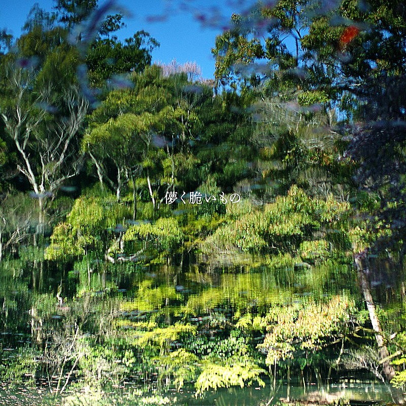 「藤巻亮太 アルバム『儚く脆いもの』通常盤」3枚目/4