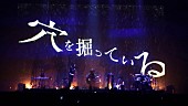 「amazarashi、アコースティックツアー【騒々しい無人 2024】より「穴を掘っている」ライブ映像公開」1枚目/3