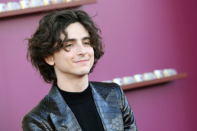 「ティモシー・シャラメ、主演映画のサントラで米ビルボードのアルバム・チャートに初登場」1枚目/1