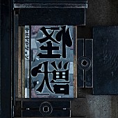 「【先ヨミ・デジタル】サカナクション「怪獣」、Mrs. GREEN APPLE「ライラック」抜きストリーミング首位走行中」1枚目/1