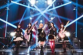 「＜ライブレポート＞Ave MujicaがフリーライブをKT Zepp Yokohamaで開催　再配信も決定」1枚目/7