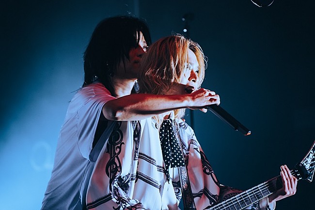 「Photo by Megumi Iritani」4枚目/13