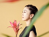 「birdの東阪リリースライブに冨田恵一／ARIWA／スチャダラパーも出演決定」1枚目/1