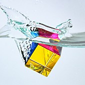 「ハンブレッダーズ、新曲「バタフライエフェクト」ジャケ写解禁　事前予約で特典も」1枚目/2