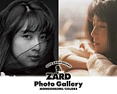 「ZARD、デビュー35周年記念の写真展が東京／大阪で順次開催　衣装＆関連アイテムも展示」1枚目/2