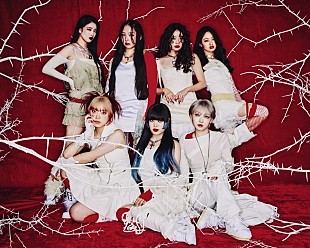 「HANA「ROSE」総合首位獲得コメントが到着「これからも力強く前進してまいります！」」