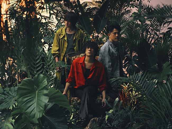 「back number、初のアリーナ公演のライブ映像をリリース　清水依与吏の弾き語りも＜4/18訂正＞」1枚目/3