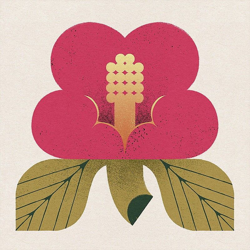 「My Hair is Bad 配信シングル「愛着」」2枚目/3