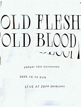 「yahyel、結成10周年スペシャルライブを開催」