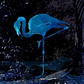 「	syudou」2枚目/2