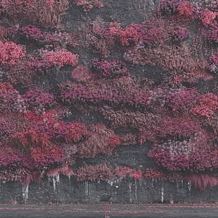 「【米ビルボード・アルバム・チャート】スリープ・トークン自身初の首位、カリ・ウチスが初登場2位」