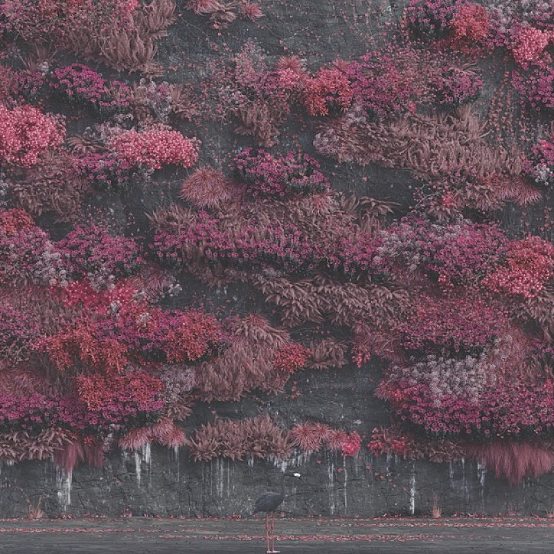 【米ビルボード・アルバム・チャート】スリープ・トークン自身初の首位、カリ・ウチスが初登場2位 