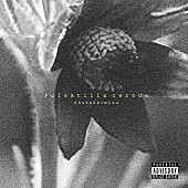 「清水翔太 アルバム『Pulsatilla cernua』通常盤」5枚目/5