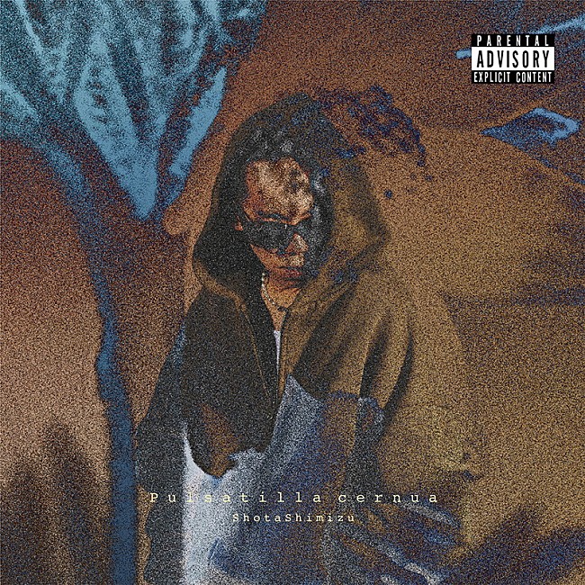 「清水翔太 アルバム『Pulsatilla cernua』完全生産限定盤」4枚目/5