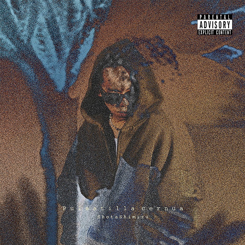 「清水翔太 アルバム『Pulsatilla cernua』完全生産限定盤」4枚目/5